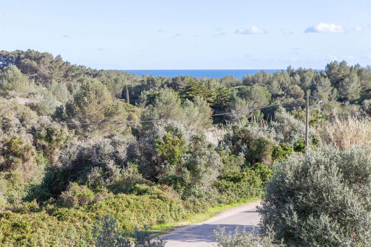 Appartamento B75 - Casa Delfim In Alfanzina Carvoeiro Carvoeiro  Esterno foto